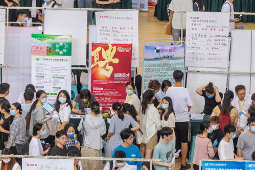 毕业生人数创历史新高,河南宣布长期未就业毕业生要 动态清零